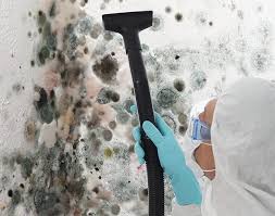 Best Industrial Mold Remediation  in North Hobbs, NM